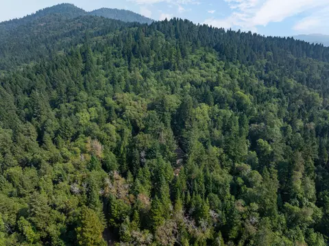 145 Ingalls Ln, Wilderville, OR 97543