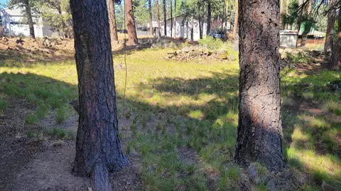 60451 Umatilla Cir, Bend, OR 97702 photo 45