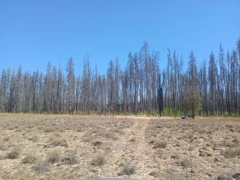 0 White Oak Ln #LOT 9, Beatty, OR 97621