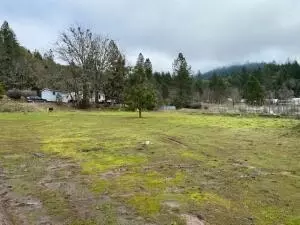 185 Browntown Rd, Cave Junction, OR 97523