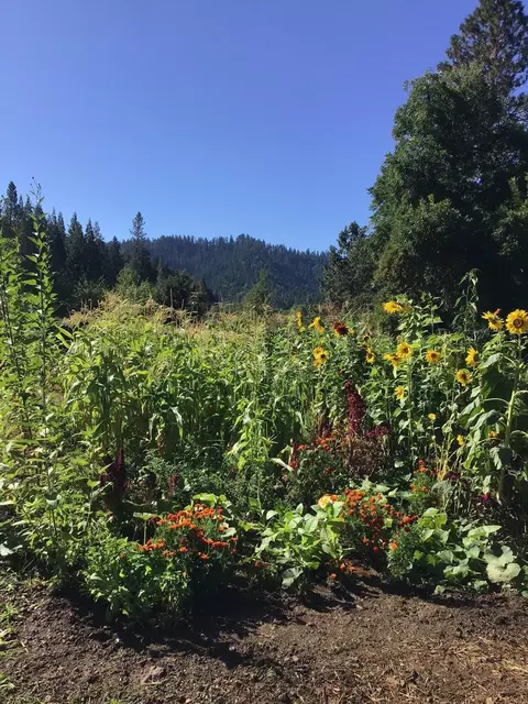 200 Humphrey Addition Rd, Glendale, OR 97442