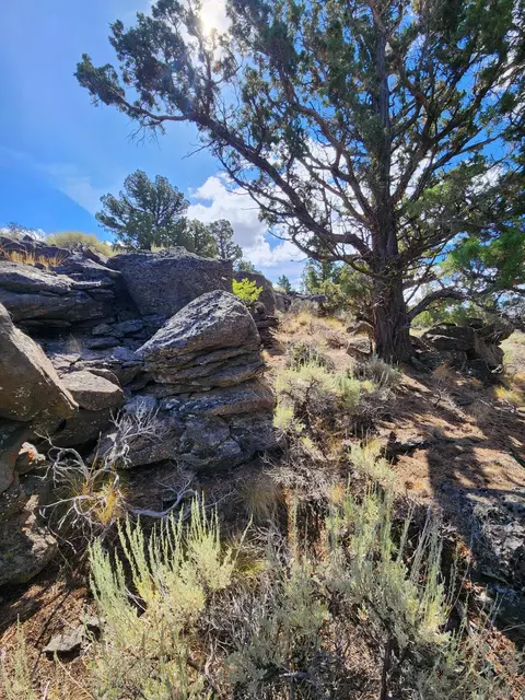 Fox Butte Road, Bend, OR 97701 photo 25