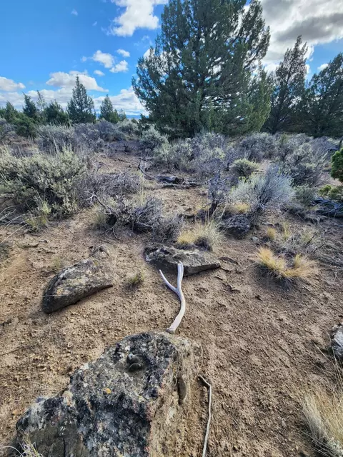 Fox Butte Road, Bend, OR 97701 photo 10