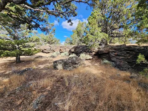 Fox Butte Road, Bend, OR 97701 photo 21