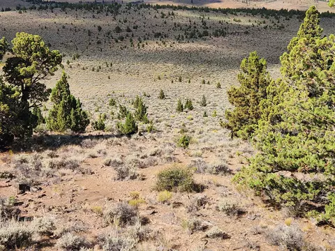 Fox Butte Road, Bend, OR 97701 photo 12