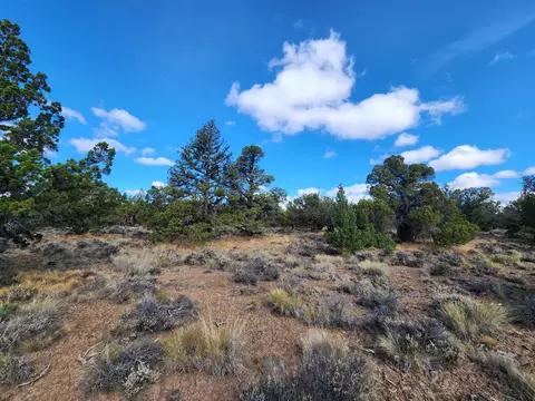 Fox Butte Road, Bend, OR 97701 photo 22