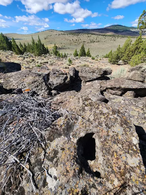 Fox Butte Road, Bend, OR 97701 photo 24
