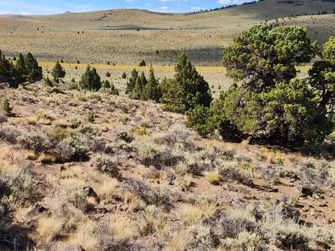 Fox Butte Road, Bend, OR 97701 photo 3