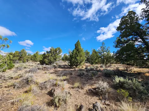 Fox Butte Road, Bend, OR 97701 photo 20