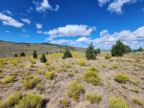 Fox Butte Road, Bend, OR 97701 photo 27