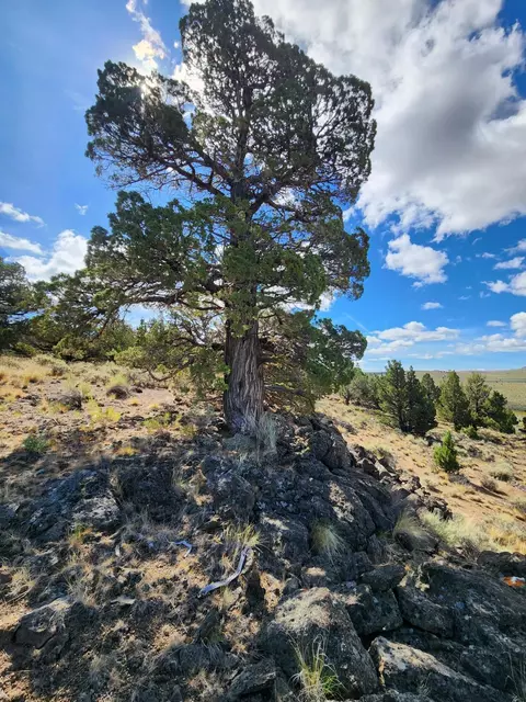Fox Butte Road, Bend, OR 97701 photo 26