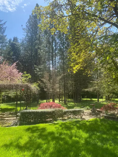Exterior - 1121 Yeust Rd, Azalea, OR 97410 photo 22 of 27