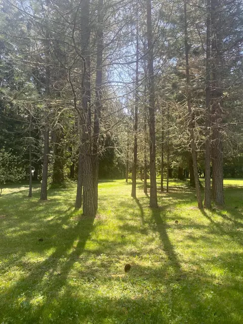 Exterior - 1121 Yeust Rd, Azalea, OR 97410 photo 19 of 27