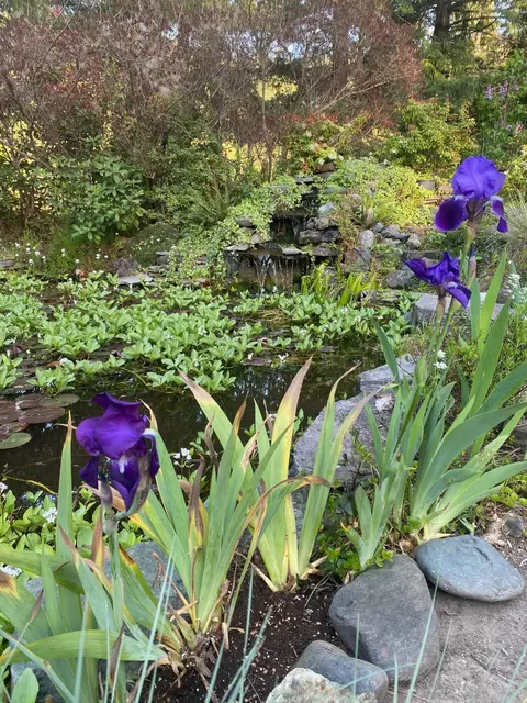 Other - 1121 Yeust Rd, Azalea, OR 97410 photo 10 of 11