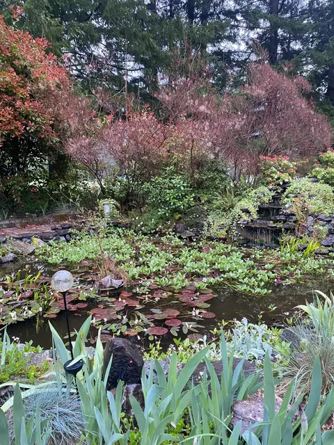 Other - 1121 Yeust Rd, Azalea, OR 97410 photo 11 of 11