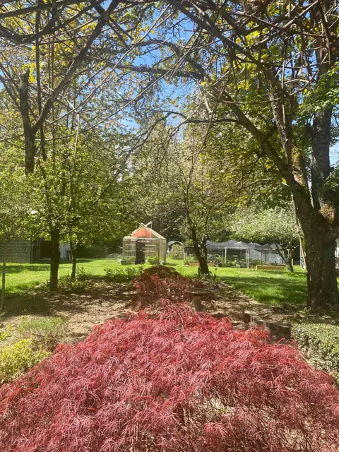 Exterior - 1121 Yeust Rd, Azalea, OR 97410 photo 16 of 27