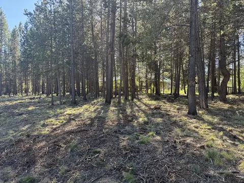 17498 Snow Goose Rd, Bend, OR 97707 photo 6