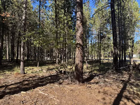17498 Snow Goose Rd, Bend, OR 97707 photo 2