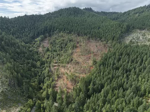 1132 Bridge Ln, Wolf Creek, OR 97497