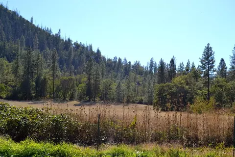 15950 Highway 238, Applegate, OR 97530 photo 4