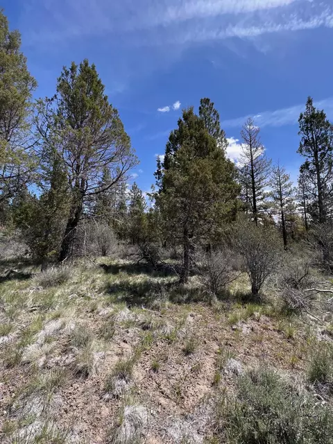 glendale drive, Beatty, OR 97621