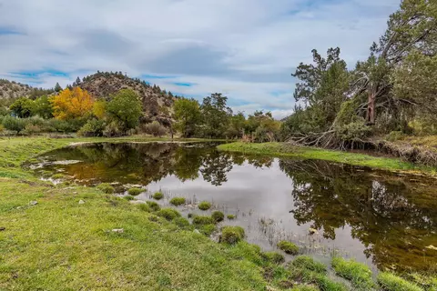 33084 Cougar Mountain Rd, Mitchell, OR 97750 photo 6