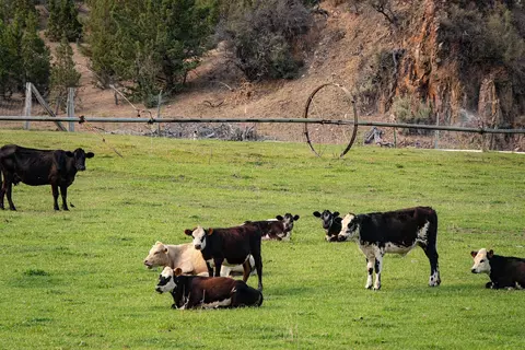 33084 Cougar Mountain Rd, Mitchell, OR 97750 photo 64
