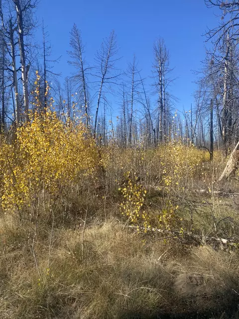 0 Bull Pine Rd #4, Bly, OR 97622