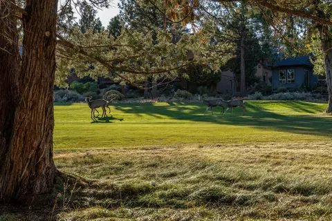 Exterior - 3237 NW Kidd Pl, Bend, OR 97703 photo 9 of 11