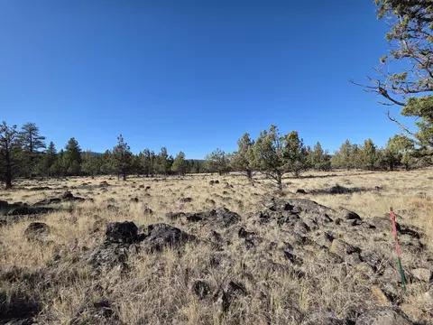 0 Cedar Trl #4008-01700-0900, Klamath Falls, OR 97603