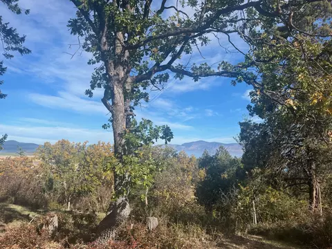 osprey lane, Klamath Falls, OR 97601