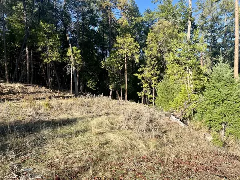 501 Elder Mill Rd, Trail, OR 97541 photo 10