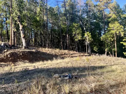 501 Elder Mill Rd, Trail, OR 97541 photo 6
