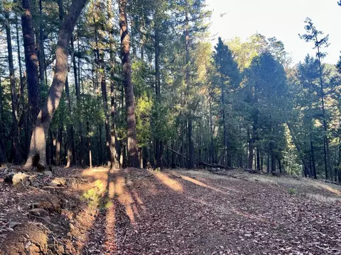 501 Elder Mill Rd, Trail, OR 97541 photo 4