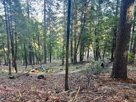 501 Elder Mill Rd, Trail, OR 97541 photo 5