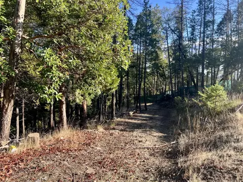 501 Elder Mill Rd, Trail, OR 97541 photo 8