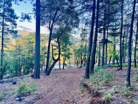501 Elder Mill Rd, Trail, OR 97541 photo 3