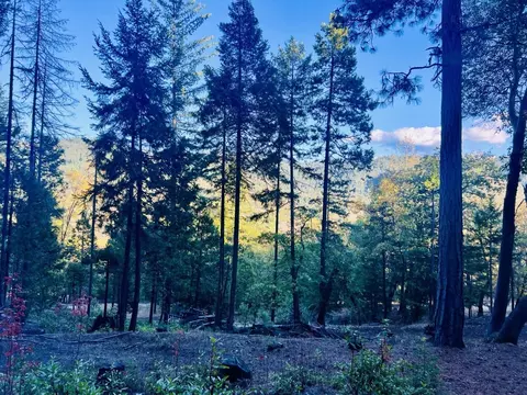 501 Elder Mill Rd, Trail, OR 97541