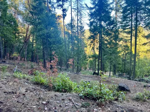 501 Elder Mill Rd, Trail, OR 97541 photo 11