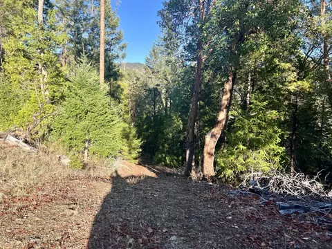 501 Elder Mill Rd, Trail, OR 97541 photo 9