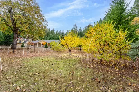 335 Cornett Ln, Cave Junction, OR 97523 photo 42