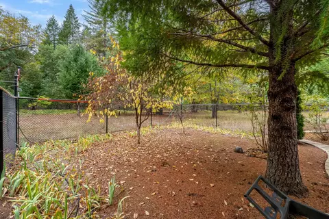 335 Cornett Ln, Cave Junction, OR 97523 photo 40