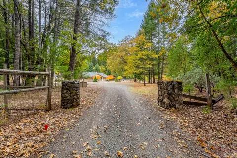 335 Cornett Ln, Cave Junction, OR 97523 photo 5