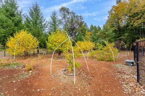 335 Cornett Ln, Cave Junction, OR 97523 photo 43