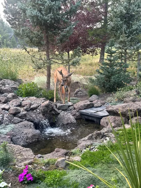 Other - 56936 Dancing Rock Loop #LOT 32, Bend, OR 97707 photo 1 of 7