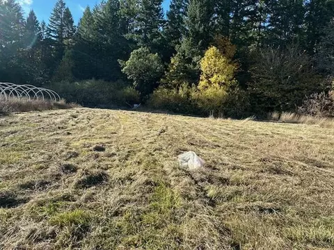 1200 Mcmullen Creek Rd, Selma, OR 97538