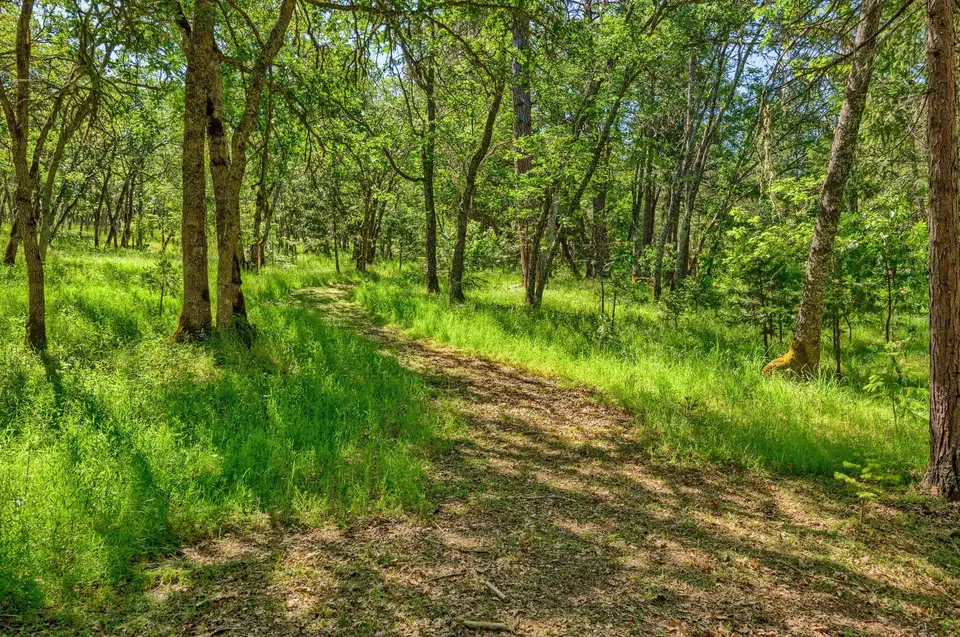 Other - 1988 Old Siskiyou Hwy, Ashland, OR 97520 photo 27 of 40
