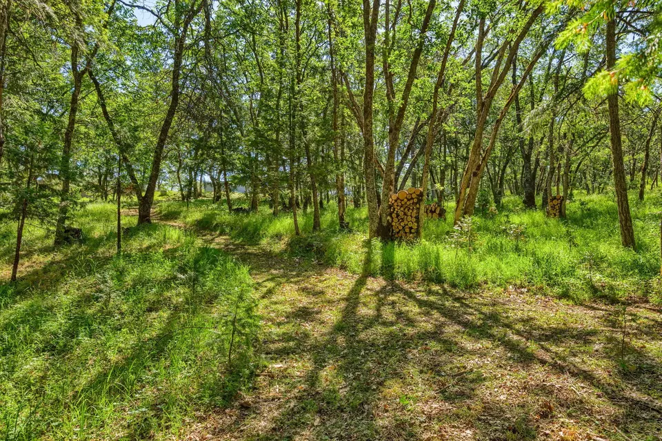 Exterior - 1988 Old Siskiyou Hwy, Ashland, OR 97520 photo 27 of 61