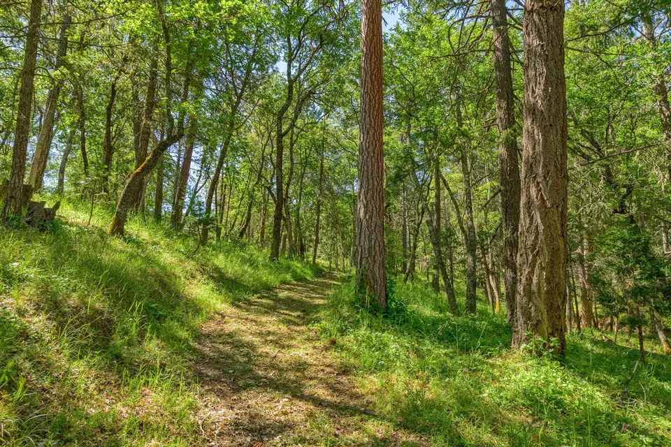 Other - 1988 Old Siskiyou Hwy, Ashland, OR 97520 photo 38 of 40
