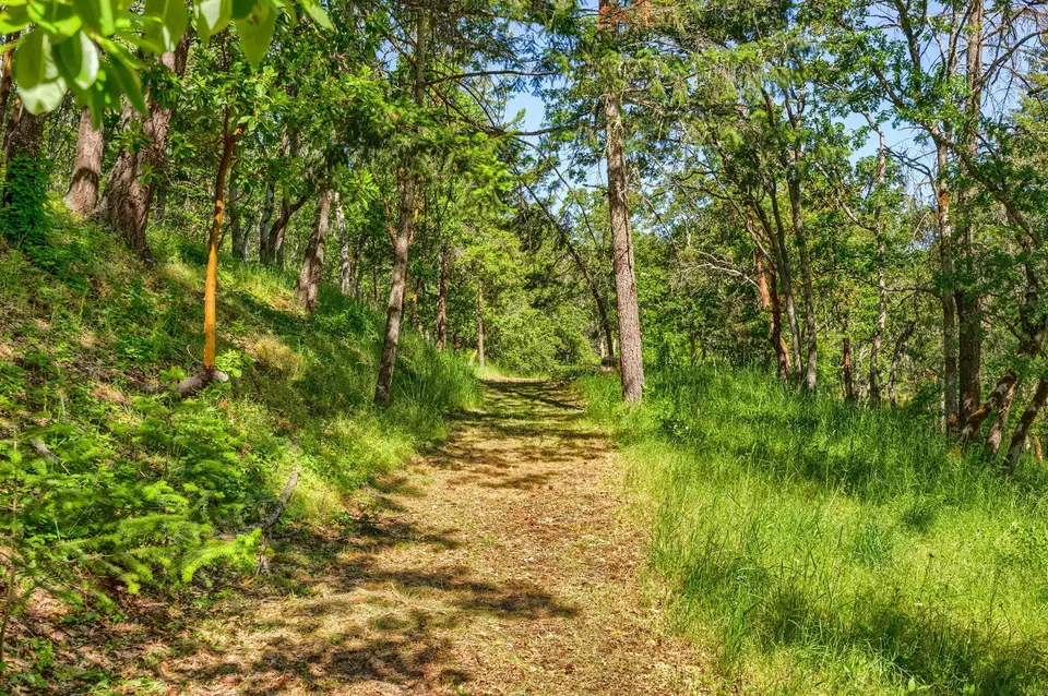 Other - 1988 Old Siskiyou Hwy, Ashland, OR 97520 photo 21 of 40